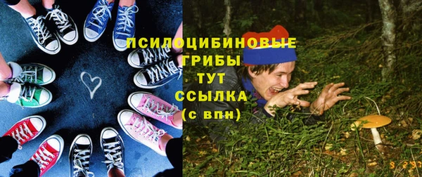 apvp Балахна