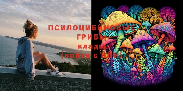 ПСИЛОЦИБИНОВЫЕ ГРИБЫ Баксан