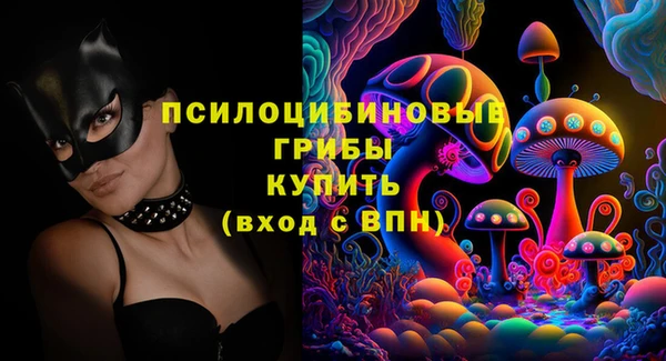 ПСИЛОЦИБИНОВЫЕ ГРИБЫ Баксан